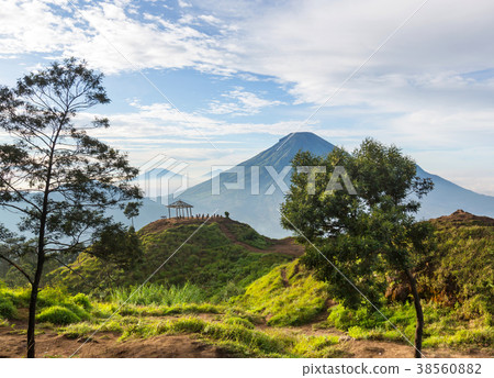 Java landscapes 38560882