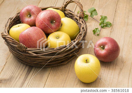 Apple  38561018