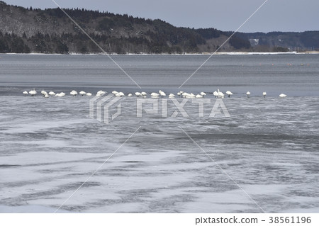 Lake Ogawara in winter Lake Ogawara in winter 38561196