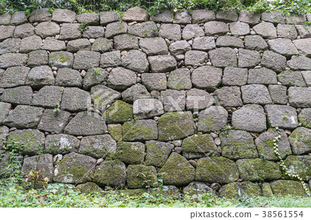 Background material Background material 38561554