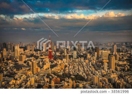 Tokyo aerial panoramic view 38561996