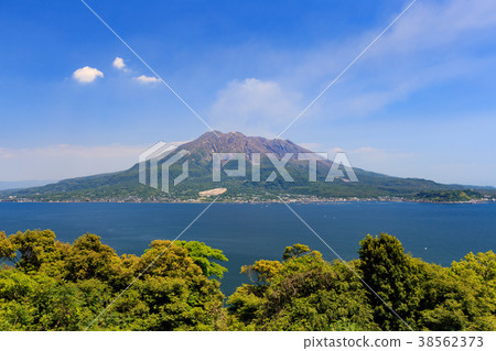 Sakurajima from Sendai-From the observatory where Satsuma clan is frequented- 38562373