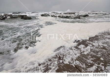Japan Sea Wave Flower Japan Sea Wave Flower 38564069