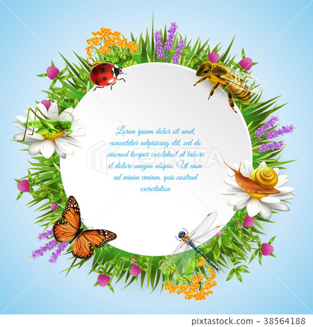 Insects Round Frame Insects Round Frame 38564188
