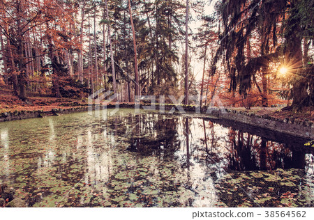Natural park with lake and trees in Topolcianky Natural park with lake and trees in Topolcianky 38564562