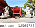 Wolf and Torii 1 38565725