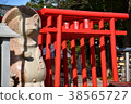Wolf and Torii 2 38565727