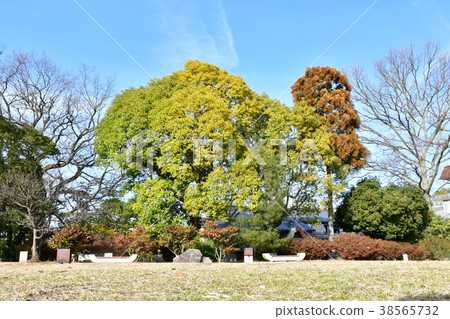 Yajima summit Yajima summit 38565732