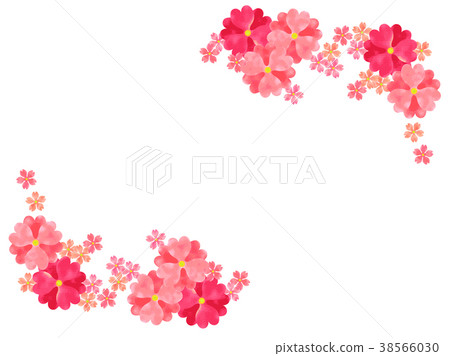 Primula background 38566030