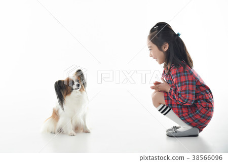 Pappy, dog 38566096