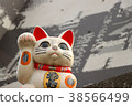 Green cat on catwalk 38566499