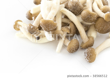 冷凍shimeji 38566512