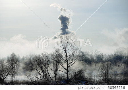 River fog and forest 38567236