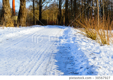 Winter rolled snowy road through the forest Winter rolled snowy road through the forest 38567927
