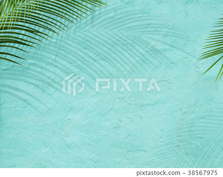 Background - Plants - Blue 38567975
