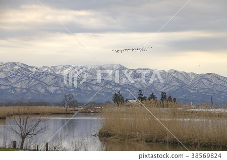 Fukushima lagoon in winter 38569824