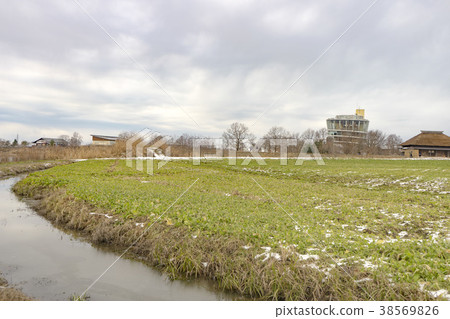 Fukushima lagoon in winter 38569826