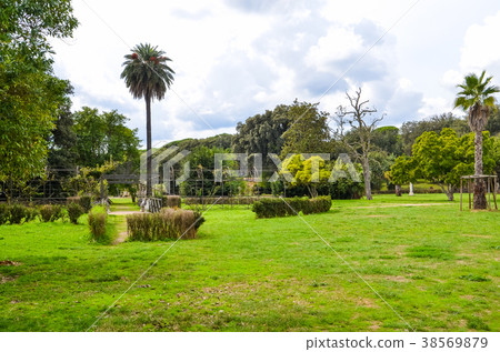 Landscape of Villa Doria Pamphili in Rome 38569879