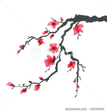 Sakura tree in Japanese style. Watercolor hand Sakura tree in Japanese style. Watercolor hand 38569943