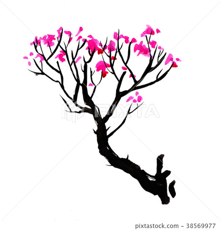 Sakura tree in Japanese style. Watercolor hand Sakura tree in Japanese style. Watercolor hand 38569977