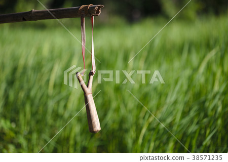 slingshot or catapult  38571235