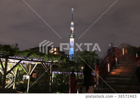Kameido Tenjin Fuji Flower and Sky Tree 38572483