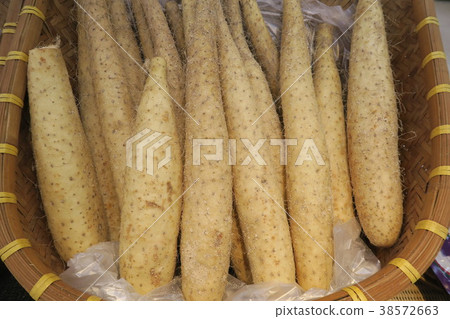 Nagamine Yamakasa Nagamine Yamakasa 38572663