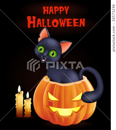 Halloween background with cat sitting inside pumpk Halloween background with cat sitting inside pumpk 38573246