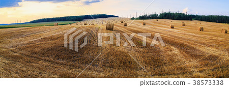 Landscape with hay bales Landscape with hay bales 38573338
