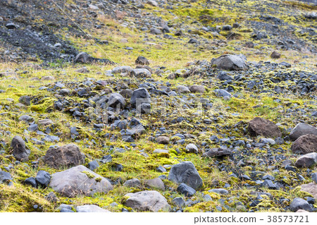 pumice stones along bed of Solheimajokull glacier pumice stones along bed of Solheimajokull glacier 38573721