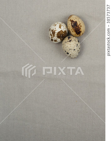 Quail Eggs on Wood Background Quail Eggs on Wood Background 38573737