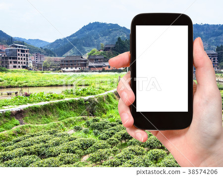 tourist photographs tea and rice fields in China 38574206