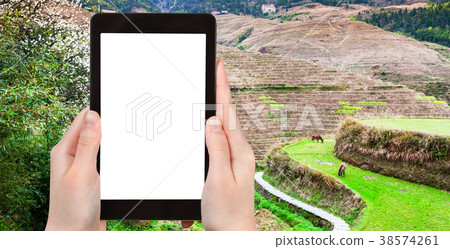 tourist photographs Rice Terraces near Dazhai 38574261