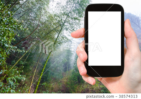 tourist photographswet rainforest in Dazhai tourist photographswet rainforest in Dazhai 38574313