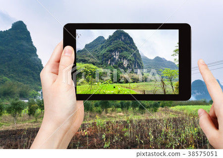 tourist photographs gardens near karst mountains 38575051