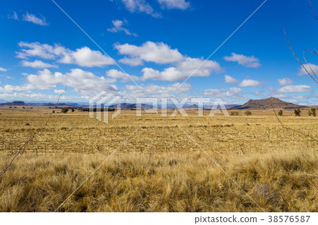 Orange Free State panorama, South Africa Orange Free State panorama, South Africa 38576587
