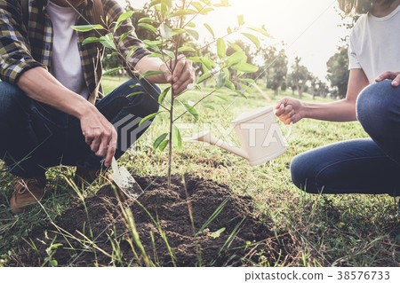 Young couple planting the tree while Watering a tree working in 38576733