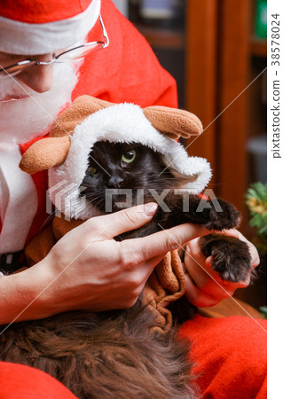 Photo of New Year's black cat in deer suit 38578024
