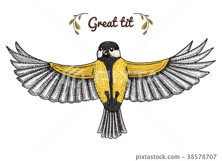 Small birds of barn swallow or martlet and parus 38578707