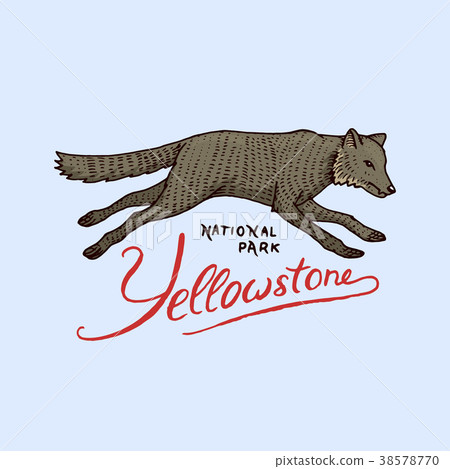 native american wolf. old label or badge for native american wolf. old label or badge for 38578770