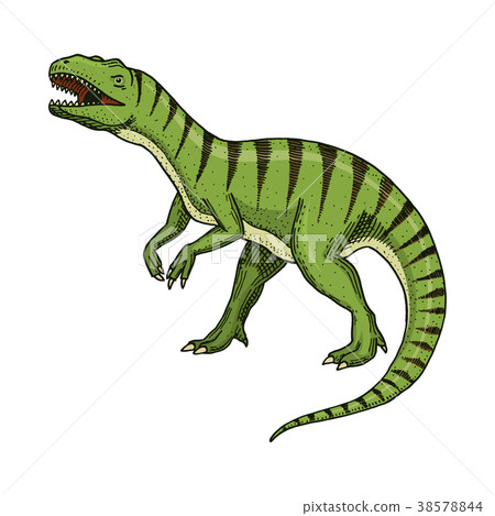 Dinosaurs Tyrannosaurus rex, Afrovenator 38578844