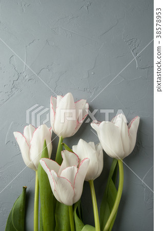 Tulips Tulips 38578953