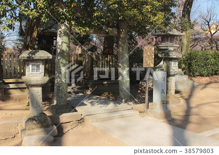 京都北野Tenman-no-Michiru先生 京都北野Tenman-no-Michiru先生 38579803