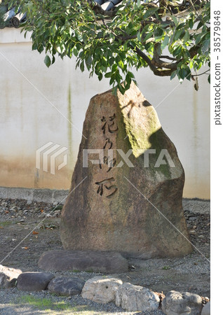 Monument of the ruins of the flower 38579848