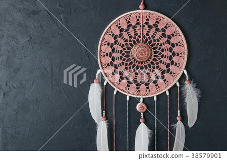 Pink ash dream catcher 38579901