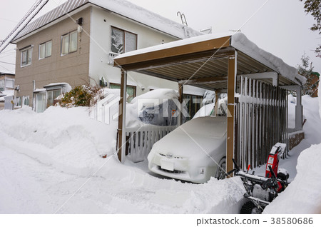 Snowy country life Snowy country life 38580686