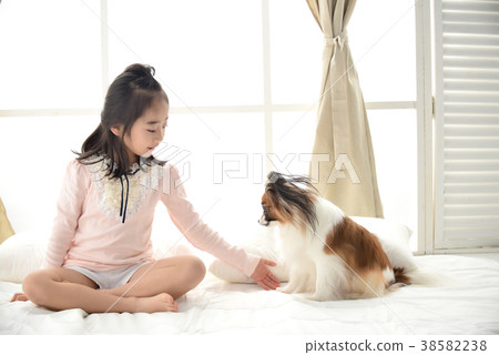 小狗和小孩 小狗和小孩 38582238
