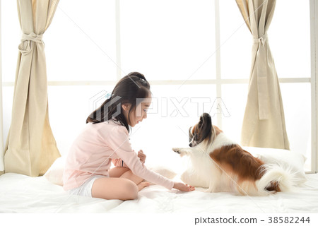 小狗和小孩 小狗和小孩 38582244