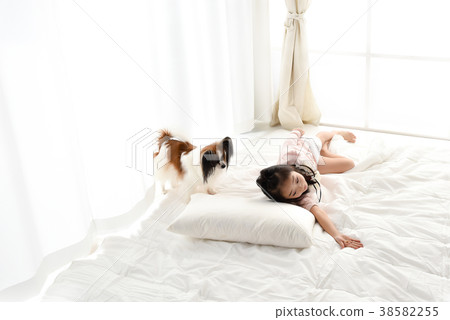 小狗和小孩 小狗和小孩 38582255