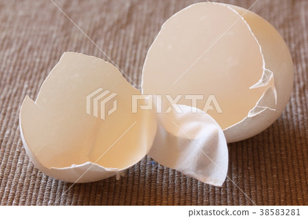 Eggshell membrane 38583281